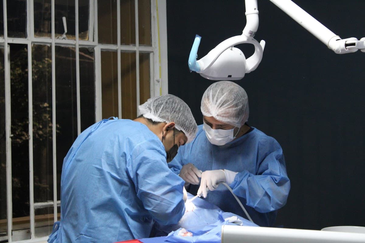 Clinica dental E&M- Carillas Dentales - Brackets -Implantes Dentales - Profilaxis Dental