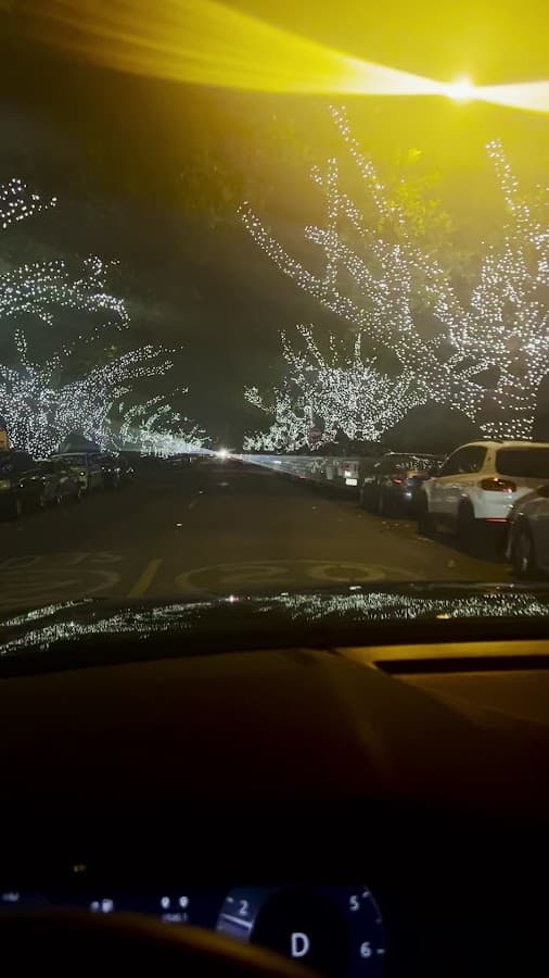 Parque Flamingo — foto