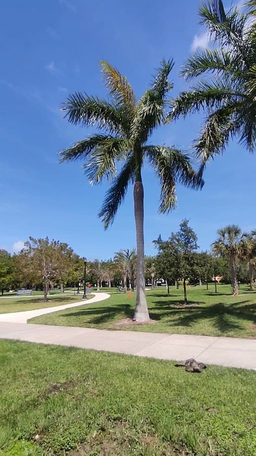 Parque Flamingo — foto