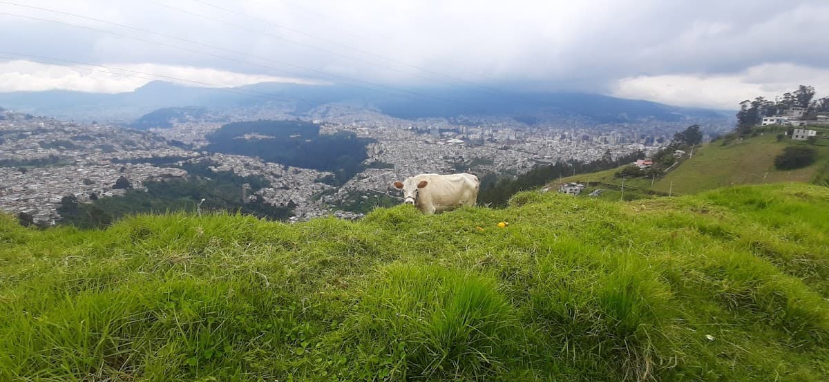 Mirador Auqui