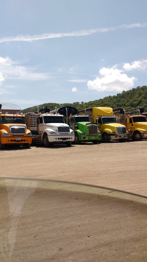 Transportes Sanchez Polo