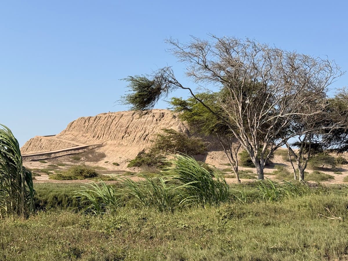 Museo de Sitio Chotuna - Chornancap — foto