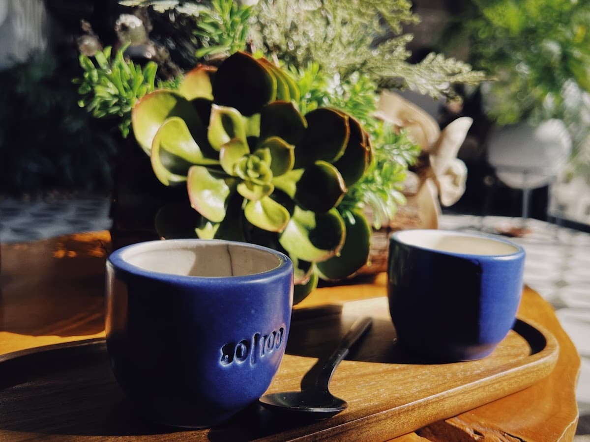 Café de especialidad 80100 Coffee — foto