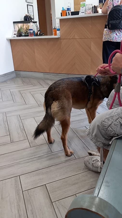 Fort Lauderdale Veterinary Center — foto