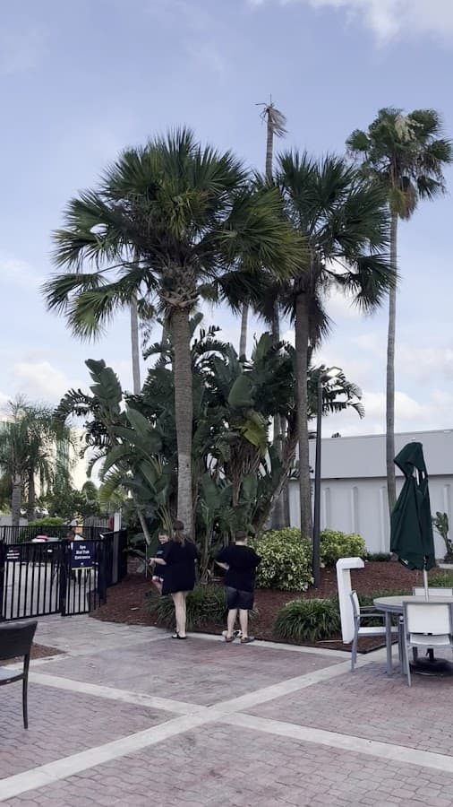 DoubleTree by Hilton Hotel at the Entrance to Universal Orlando — foto