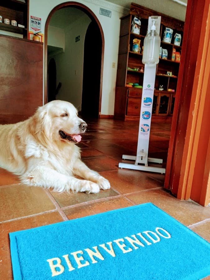 Albéitar Clínica Veterinaria — foto