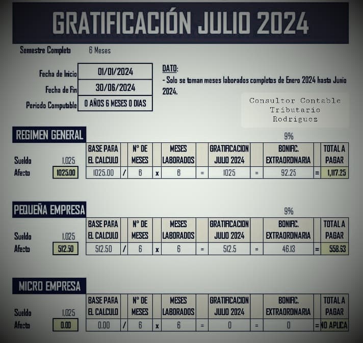 CONSULTOR CONTABLE TRIBUTARIO RODRIGUEZ EIRL