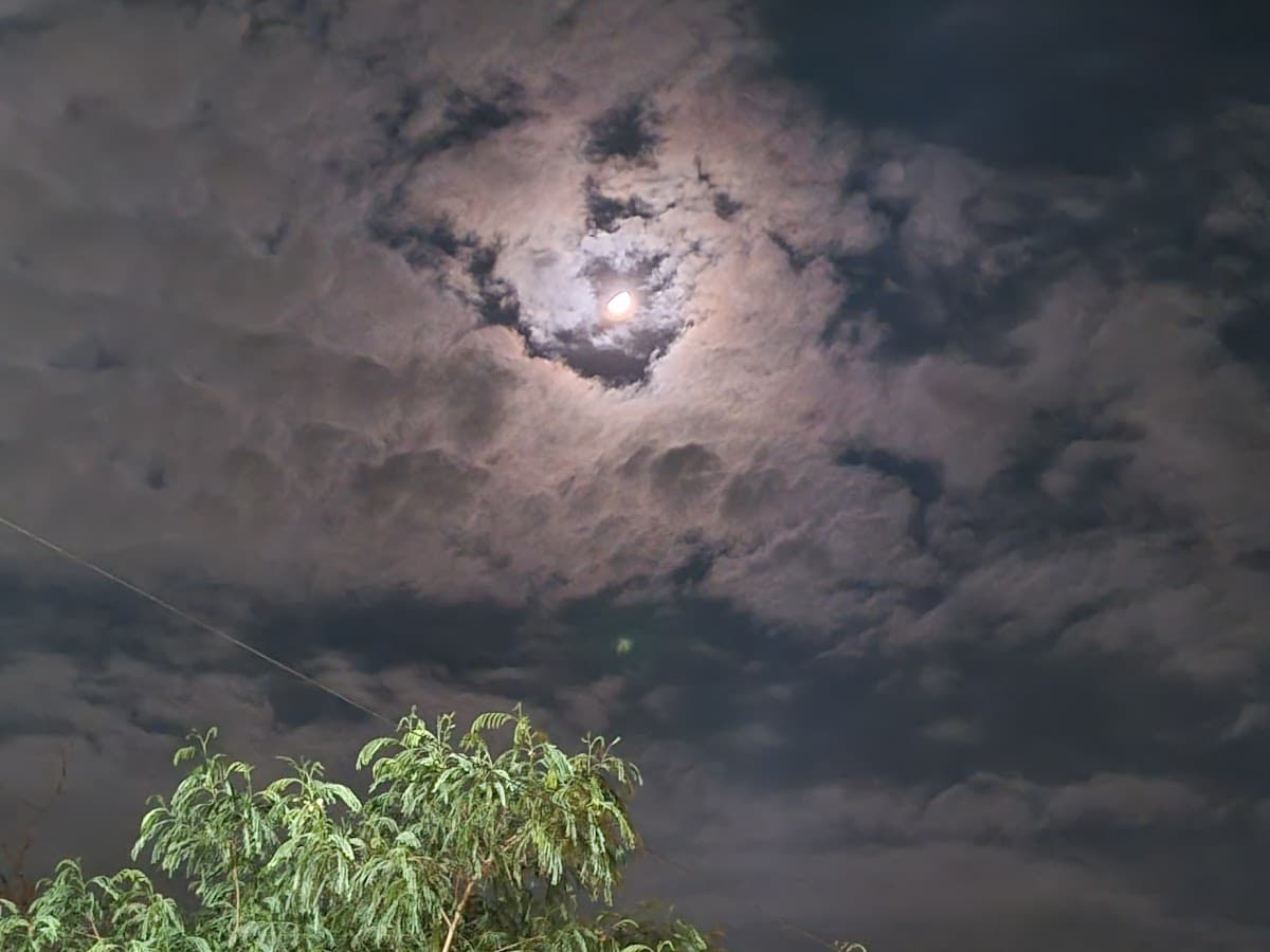 Tierra De Diversión — foto