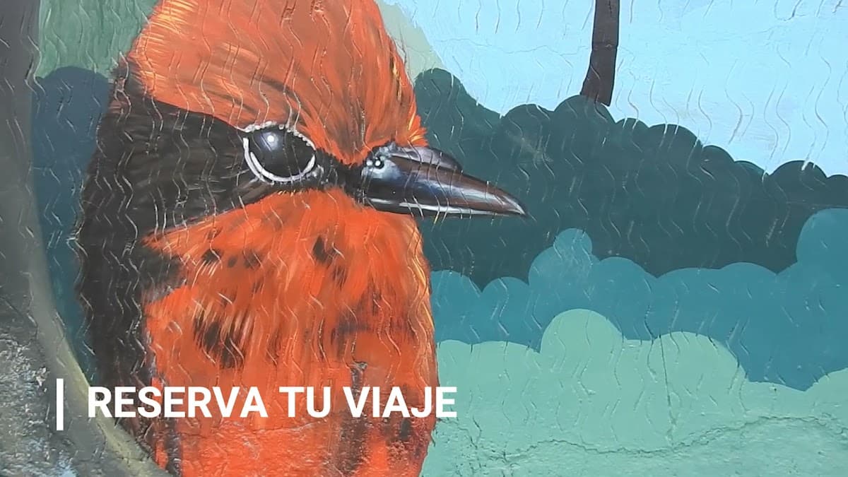 RUNA turismo — foto