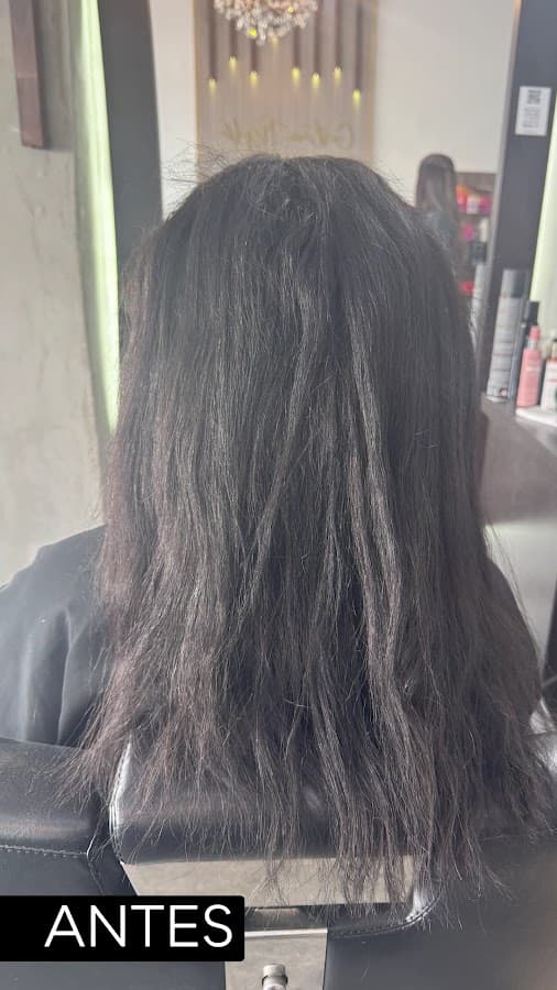 Gustavo Trujillo Peluqueria Pereira