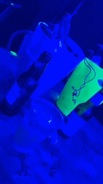 BAMBU Disco Bar — foto