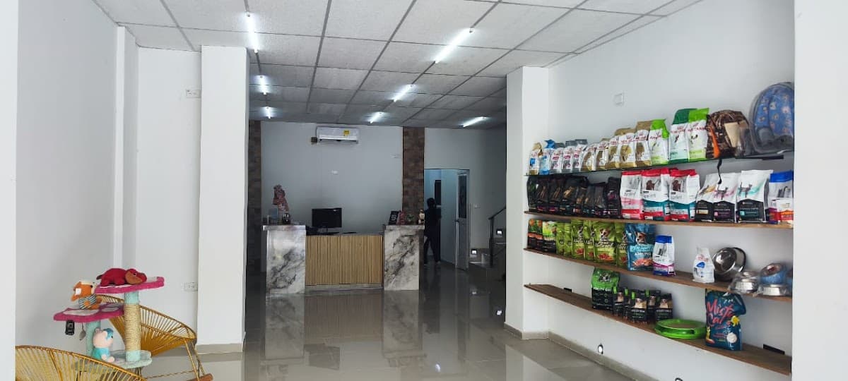 NAPOLES CLINICA VETERINARIA 24 HORAS