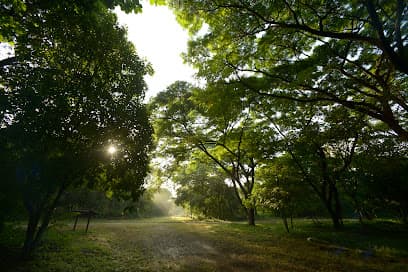 Bosque Protector Cerro Blanco