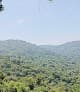 Bosque Protector Cerro Blanco — foto