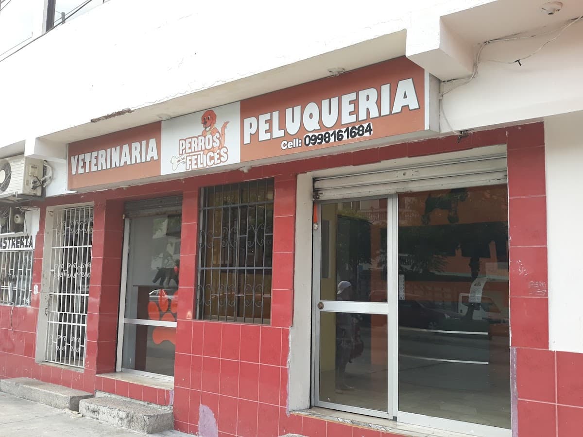 Vet Gisella Poppe, Veterinaria Mascota Feliz — foto