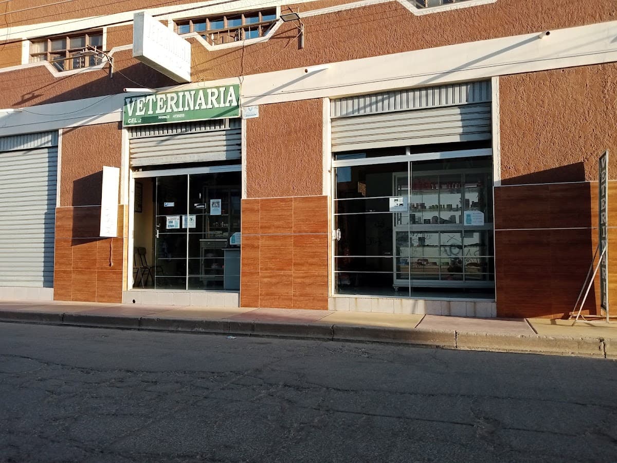 Veterinaria VIP — foto