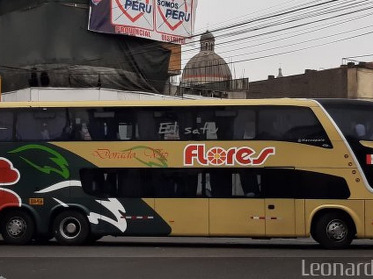Transporte Flores — foto