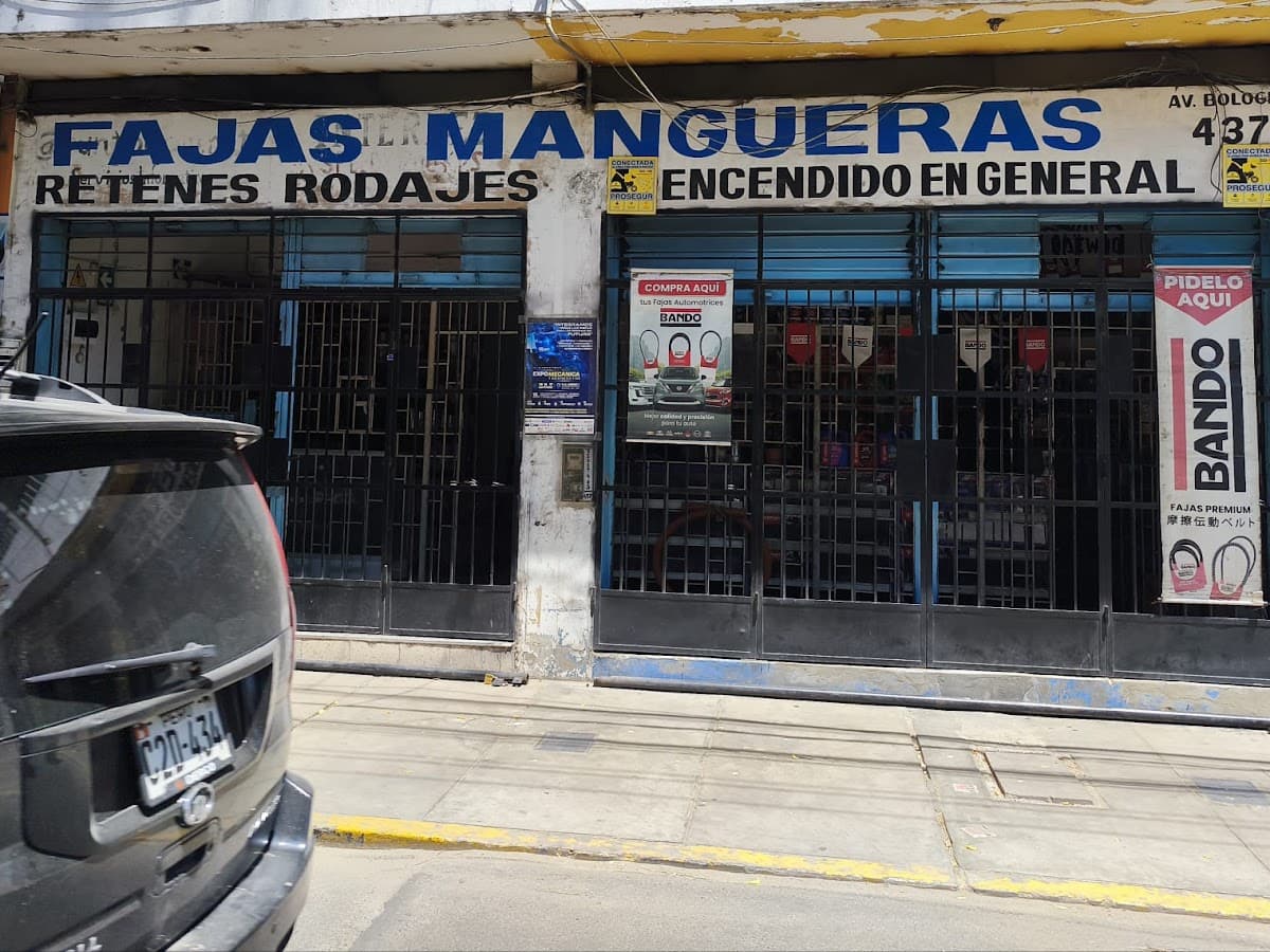 Autopartes Repuestos y Servicios Multiples