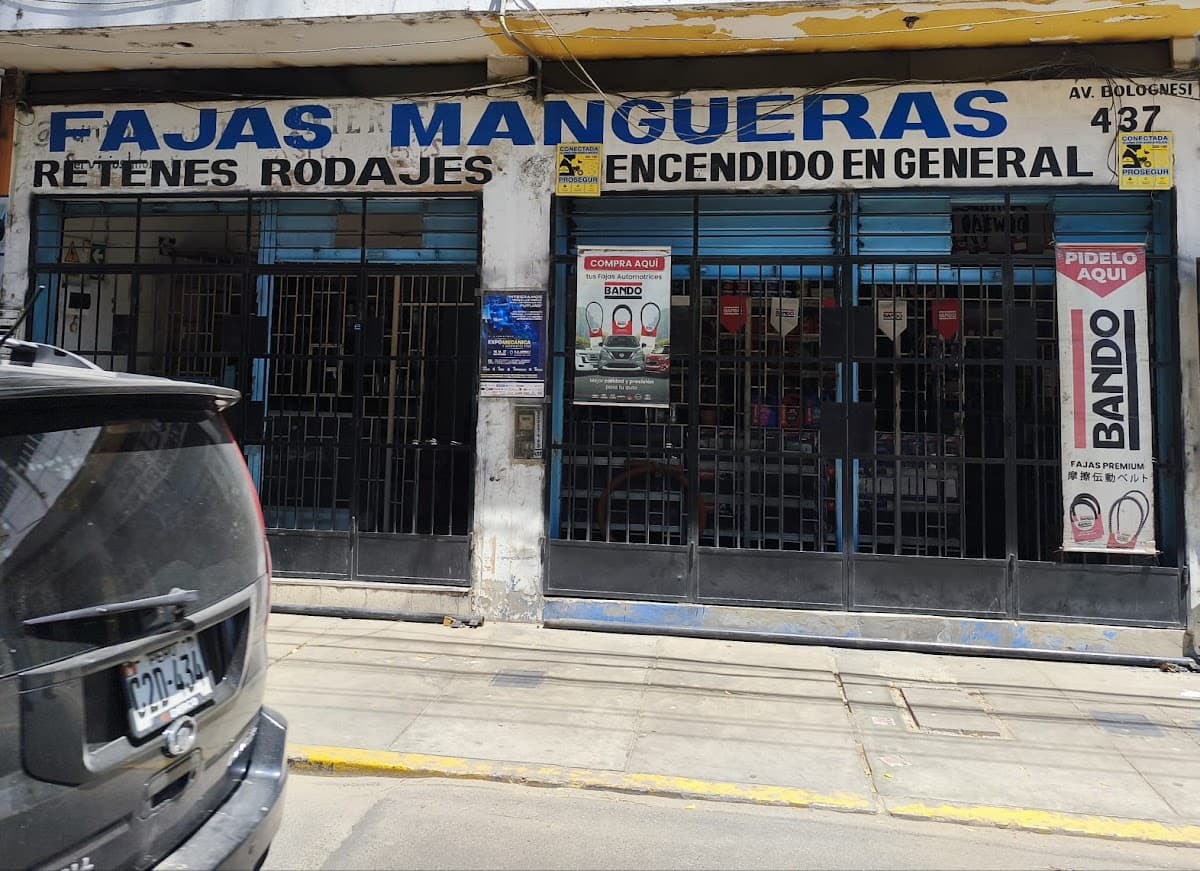 Autopartes Repuestos y Servicios Multiples — foto