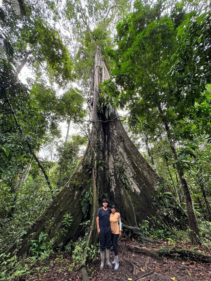 Tour iquitos & pacaya samiria