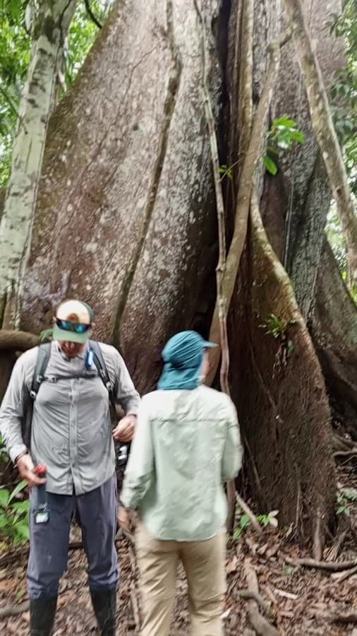 Tour iquitos & pacaya samiria — foto