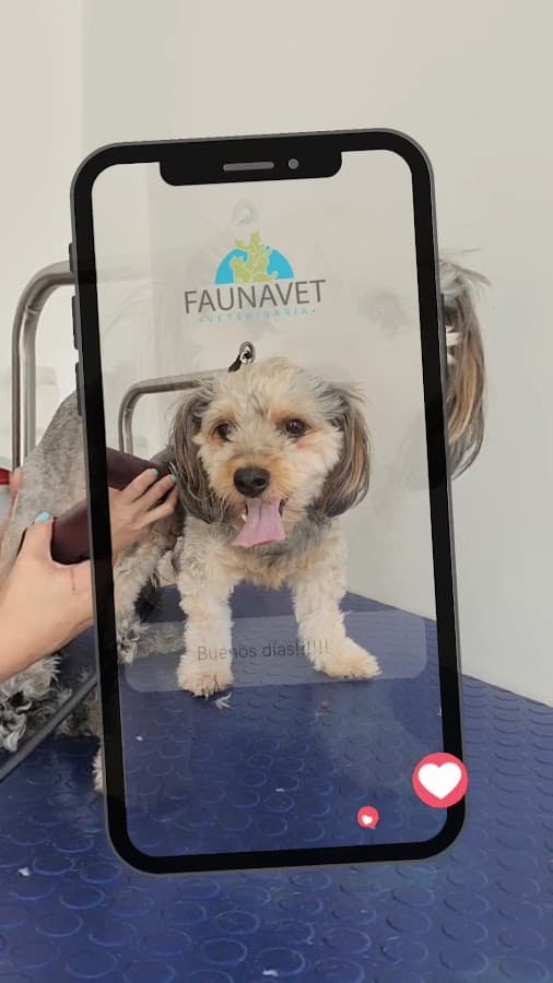 Faunavet — foto