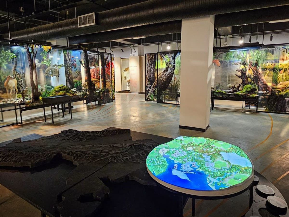 Museo Del Vinagre — foto