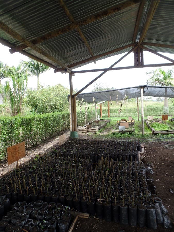 Parque Temático La Rejoya — foto