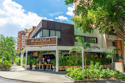 Malanga del trópico Laureles l Medellín — foto