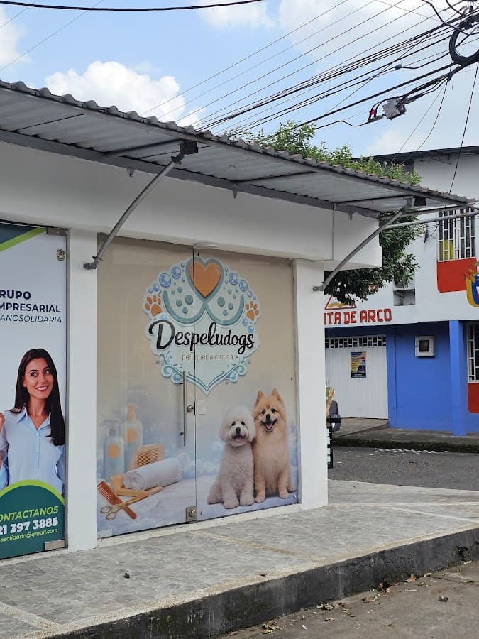 Despeludogs