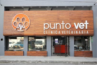 Punto Vet Clínica veterinaria — foto