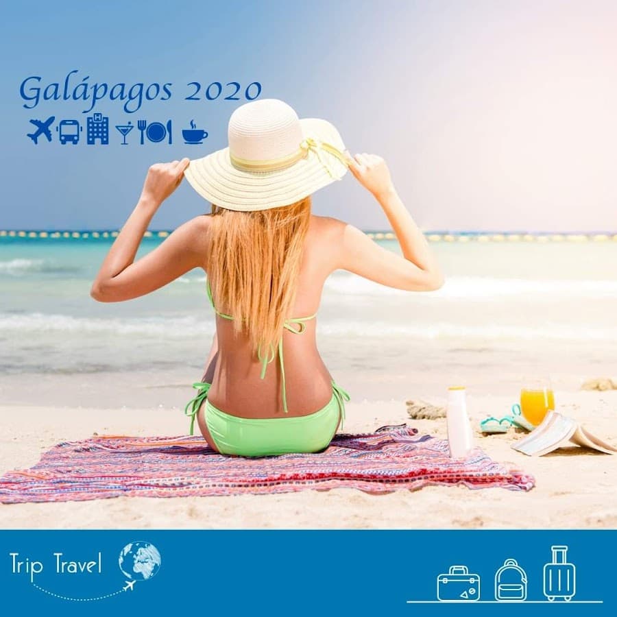 TRIP TRAVEL — foto