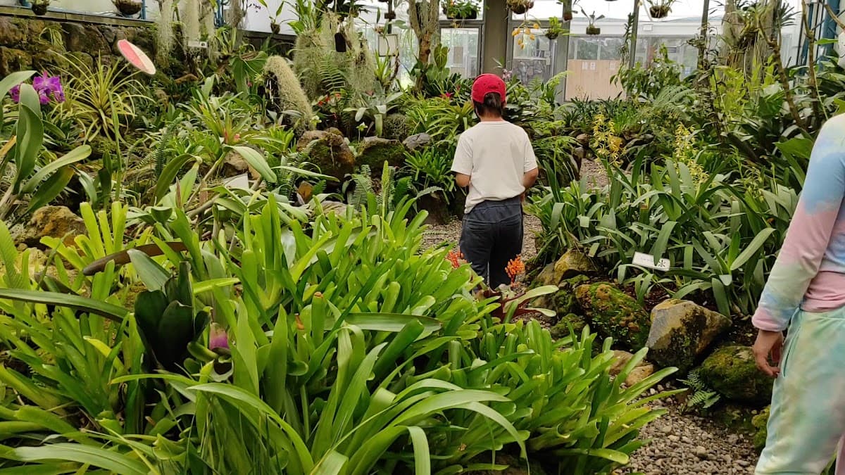 Jardín Botánico de Quito — foto