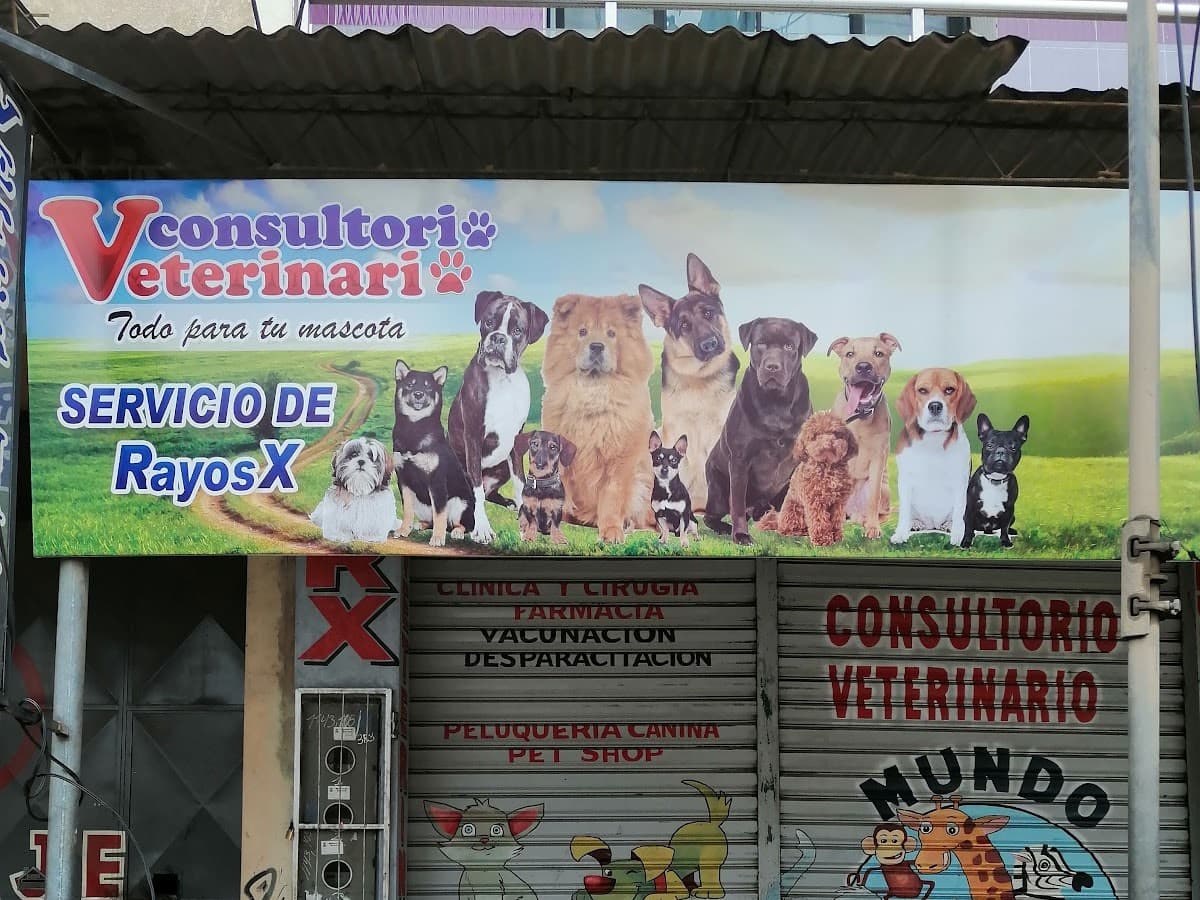HOSPITAL DE ESPECIALIDADES VETERINARIA +KOTAS — foto
