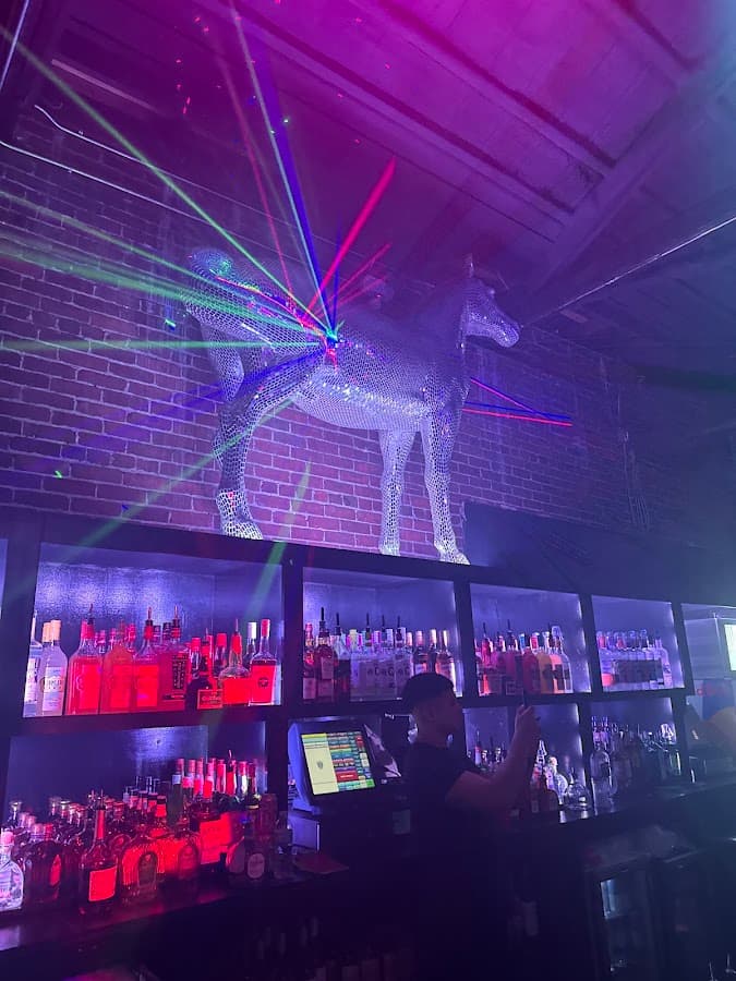 Disco Pony Nightclub