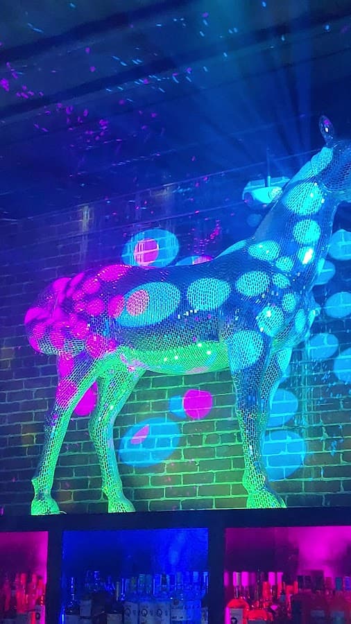 Disco Pony Nightclub — foto