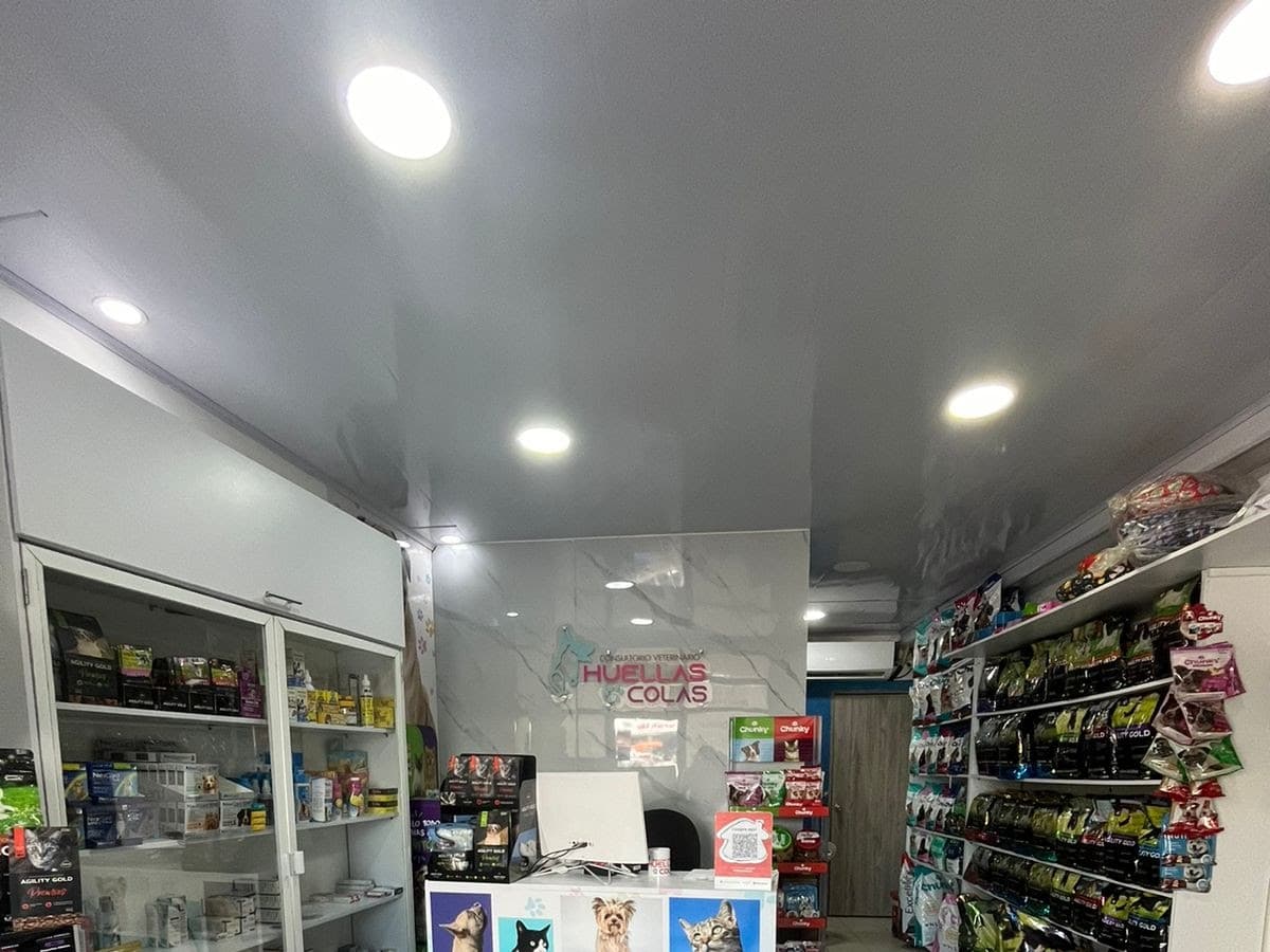 Veterinaria Animalista