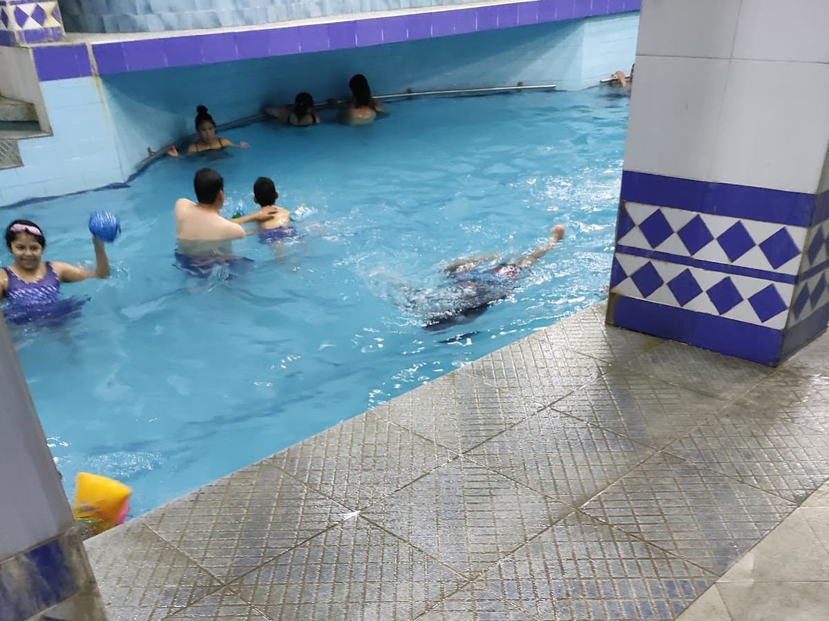 Sauna Piscina Cocoa Beach — foto