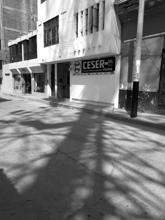 CESER PIURA SRL