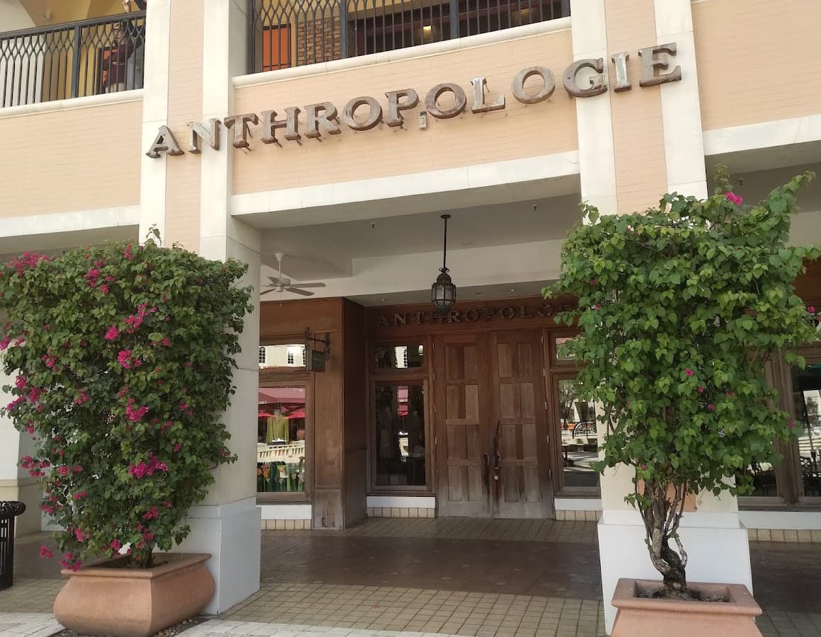 Anthropologie