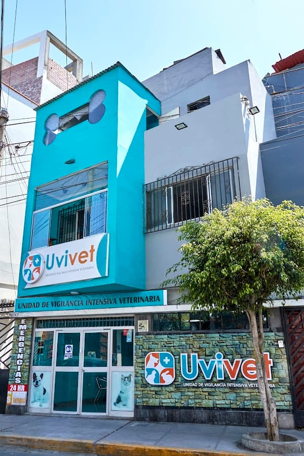 Pet Salud | Clínica Veterinaria en Lima