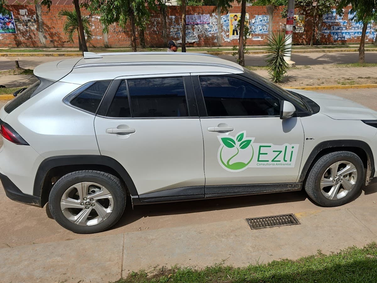EZLI Servicios y Consultoria SACS