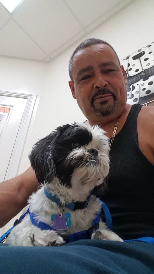 Park Veterinary Hospital — foto