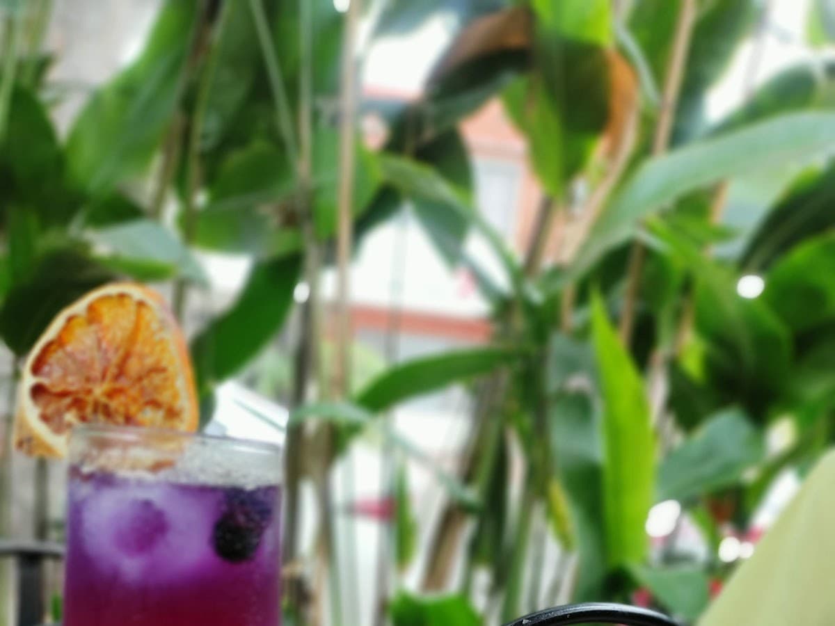 Mascabado Cocina Artesanal y Casa de Té — foto