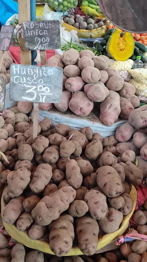 Mercado San Camilo — foto