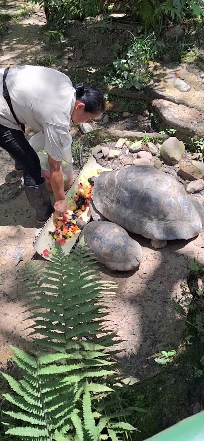 Bioparque Los Ocarros — foto