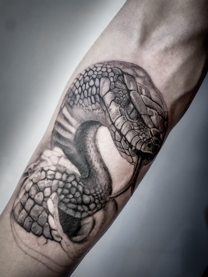 Bendita Tinta Tattoo Studio — foto