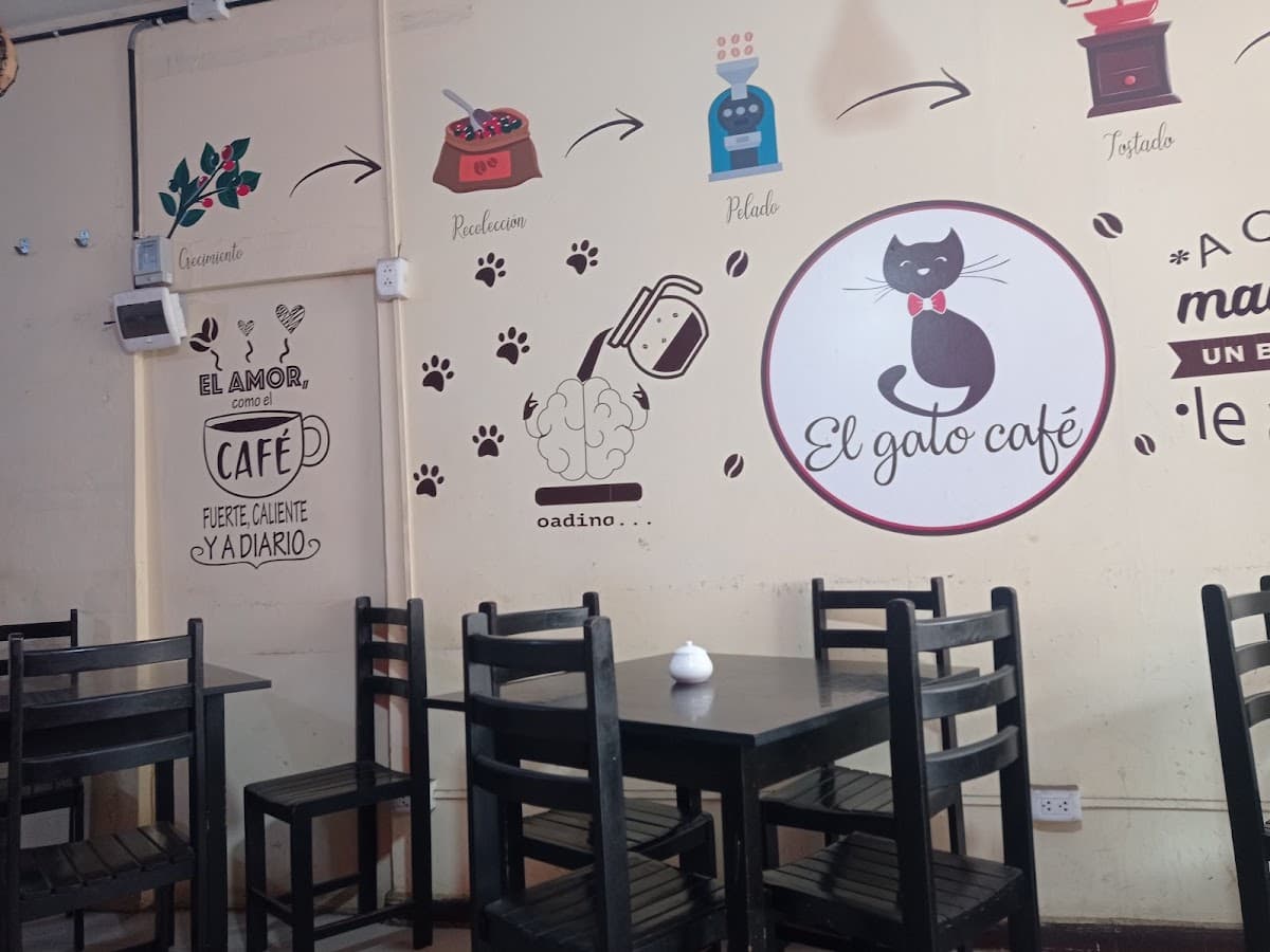 El Gato Café