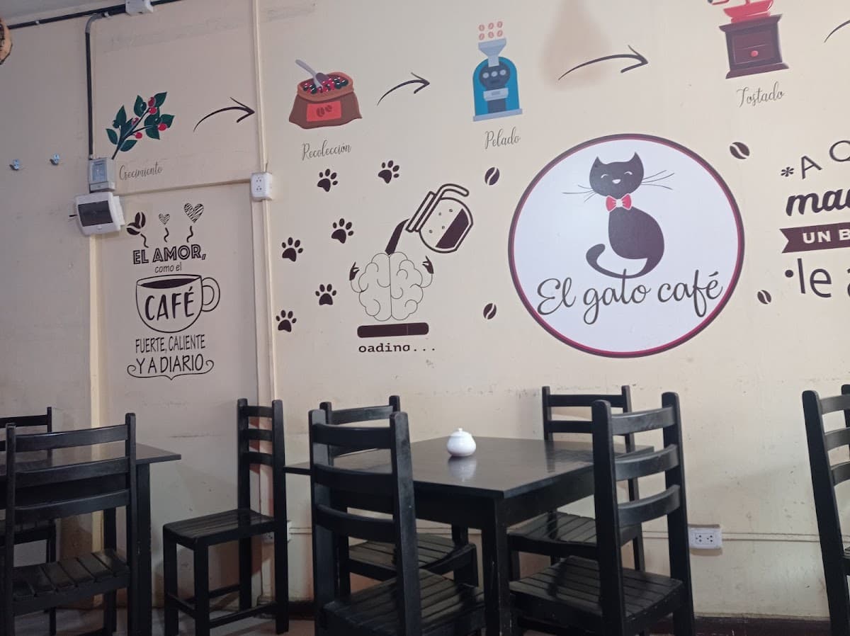 El Gato Café — foto