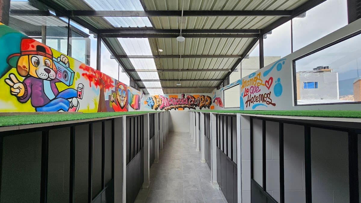 Centro Medico Veterinario 20 de Julio